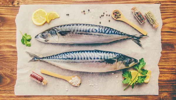 Surowe Ryby Makreli Selektywny Fokus Jedzeniem Piciem — Zdjęcie stockowe