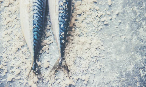 Ωμό Ψάρι Σκουμπρί Επιλεκτική Εστίαση — Φωτογραφία Αρχείου