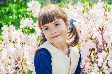 Çiçek açması Manolya ve bir çocuk. Seçici odak. 