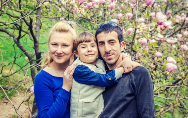 Çiçek açan Manolya aile. Seçici odak.