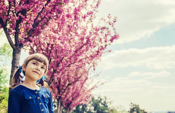 開花桜と赤ちゃん 選択と集中 — ストック写真