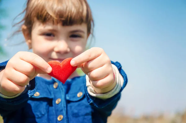 Das Herz Ist Den Händen Des Kindes Selektiver Fokus — Stockfoto
