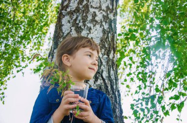 SAP bir çocuğun elinde huş ağacı. Seçici odak. 