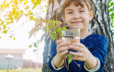 SAP bir çocuğun elinde huş ağacı. Seçici odak. 
