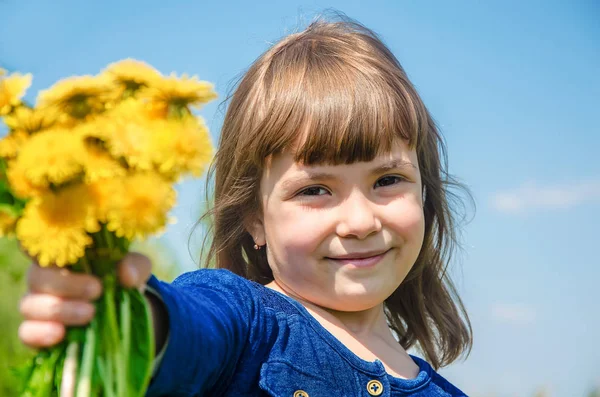 Fille Enfant Fleurs Pissenlits Dans Les Pièces Printemps Concentration Sélective — Photo