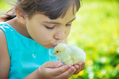 Çocuk bir tavuk elinde tutar. Seçici odak. 