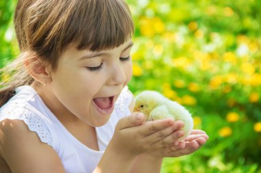 Çocuk bir tavuk elinde tutar. Seçici odak. 