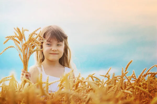 Buğday Tarlasında Bir Çocuk Seçici Odak — Stok fotoğraf