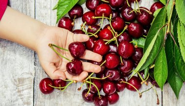 Kırmızı Kiraz. Seçici odak. 