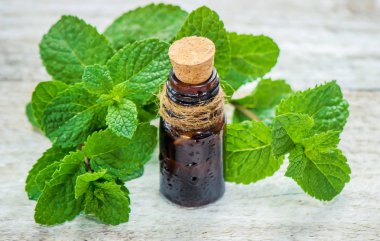 şifalı otlar. Seçici odak. Tıp ve sağlık.