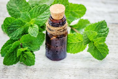 Şifalı otlar. Seçici odak.