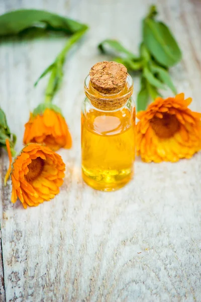 Ringelblumenextrakt Heilpflanzen Selektiver Fokus — Stockfoto