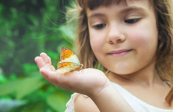 Enfant Avec Papillon Concentration Sélective — Photo