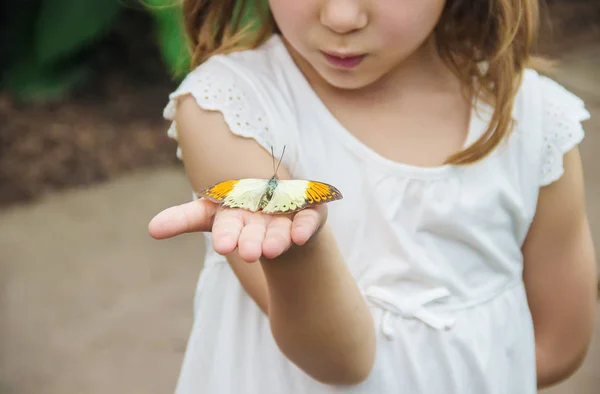 Gyermek Egy Pillangó Szelektív Összpontosít — Stock Fotó