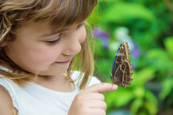 Enfant Avec Papillon Concentration Sélective — Photo