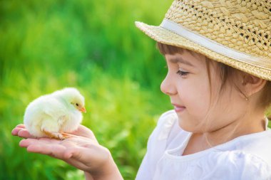 Çocuk bir tavuk elinde tutar. Seçici odak. 