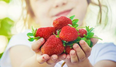 Çocuk ve çilek. Seçici odak.