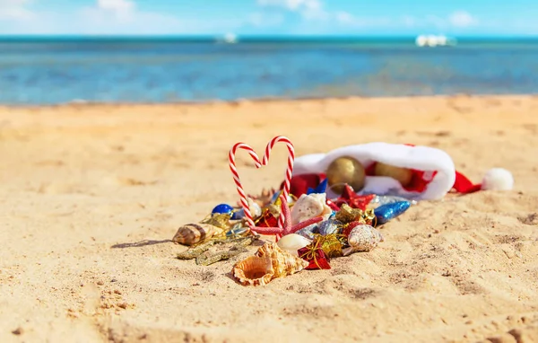 圣诞节背景在海滩上, 沙滩上有贝壳。选择性对焦. — 图库照片