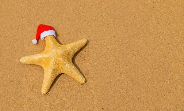 Морская звезда Санта-Клаус на пляже. Селективный фокус . — стоковое фото