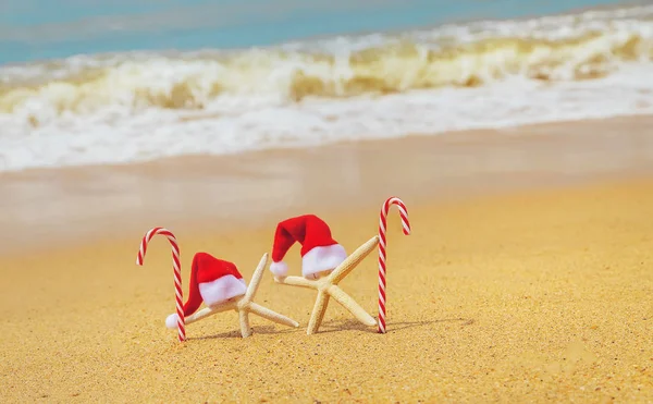 海星圣诞老人在海滩上。 有选择的重点. — 图库照片