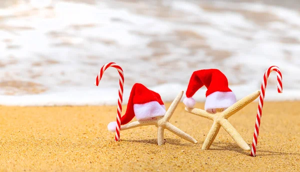 海星圣诞老人在海滩上。 有选择的重点. — 图库照片