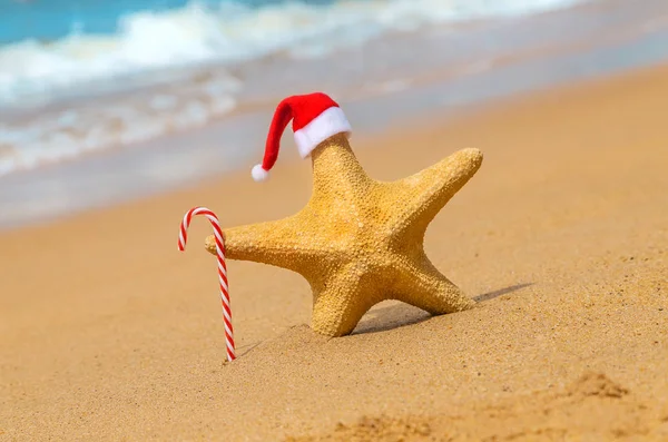 Stelle marine Babbo Natale sulla spiaggia. Focus selettivo . — Foto Stock