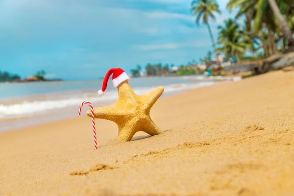 Seestern Weihnachtsmann am Strand. Selektiver Fokus. — Stockfoto