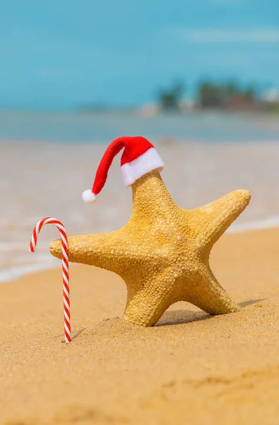 Stelle marine Babbo Natale sulla spiaggia. Focus selettivo . — Foto Stock