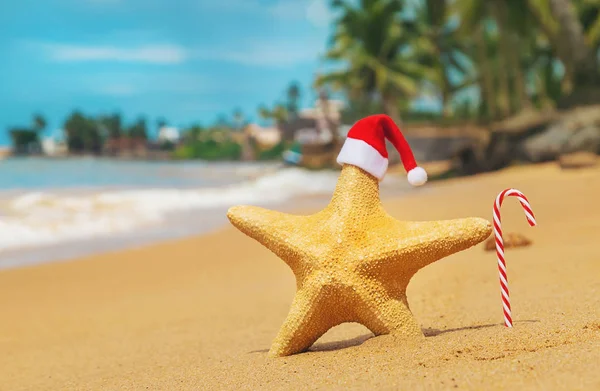 Starfish Papai Noel na praia. Foco seletivo . — Fotografia de Stock