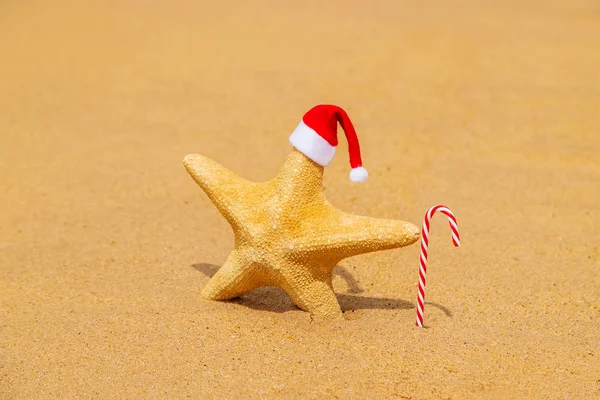 Stelle marine Babbo Natale sulla spiaggia. Focus selettivo . — Foto Stock