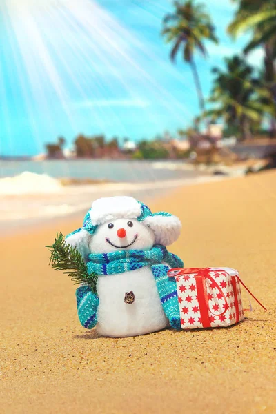 海滩上的雪人 圣诞快乐。 有选择的重点. — 图库照片