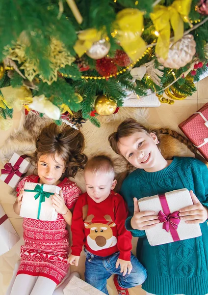 Niños cerca del árbol de Navidad. Enfoque selectivo . — Foto de Stock