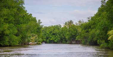 Bentota Nehri Sri Lanka teknesi. Seçici odak.