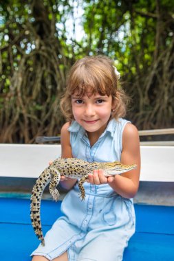 Çocuk elinde küçük bir timsah tutuyor. Seçici odak.