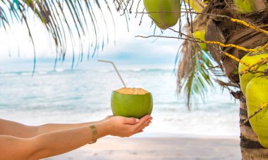 Sahildeki kız hindistan cevizi içiyor. Seçici odak.