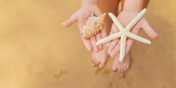 Un enfant avec une étoile de mer et des coquillages dans ses mains sur la plage. Concentration sélective . — Photo