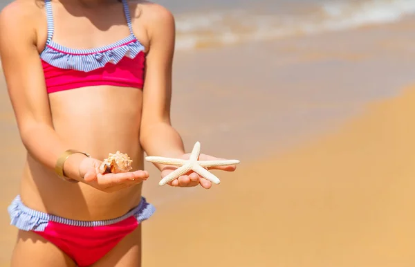 เด็กที่มีดาวปลาและเปลือกหอยอยู่ในมือของเขาบนชายหาด เลือกโฟกัส . — ภาพถ่ายสต็อก