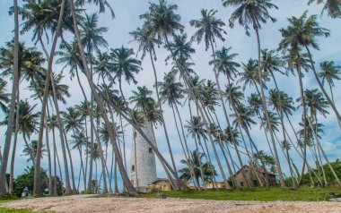 Sri Lanka deniz feneri olan bir ada. Seçici odak.