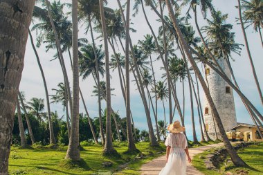 Sri Lanka 'da deniz feneri olan bir adada. Seçici odak.