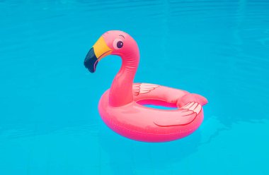 Flamingo havuzunda daire çiz. Seçici odak.