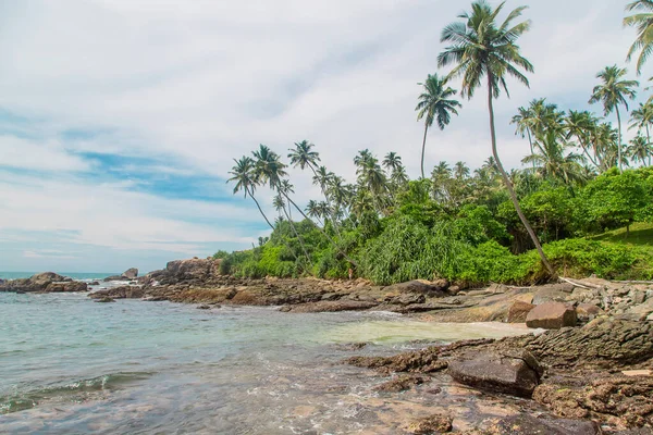 Oceaan Sri Lanka. Natuur en palmbomen. Selectieve focus. — Stockfoto