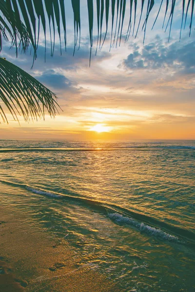 Zonsondergang op de oceaan. Sri Lanka. Selectieve focus. — Stockfoto