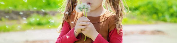 Flicka blåser maskrosor i luften. selektivt fokus. — Stockfoto