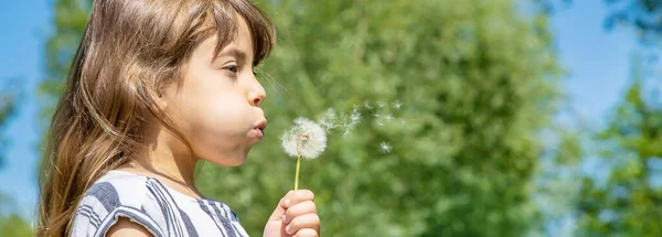 Fille soufflant des pissenlits dans l'air. focus sélectif . — Photo