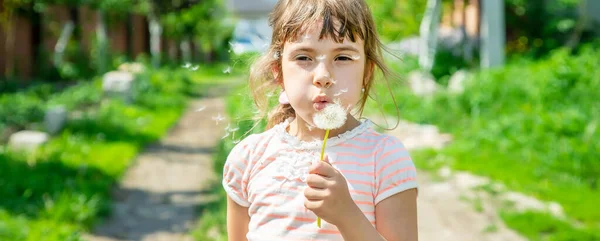 Flicka blåser maskrosor i luften. selektivt fokus. — Stockfoto