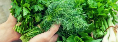 Bahçeden taze ev yapımı yeşillikler. Seçici odaklama.