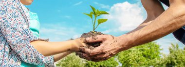 bahçede çocuk ve baba bitkiler. Seçici odaklama.