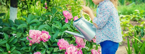 Kind gießt Blumen im Garten. Selektiver Fokus. — Stockfoto