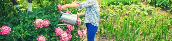 Bambino che innaffia fiori in giardino. Focus selettivo . — Foto Stock