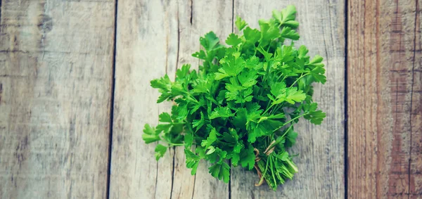 Fresh homemade greens from the garden. Selective focus. — Stock Photo, Image